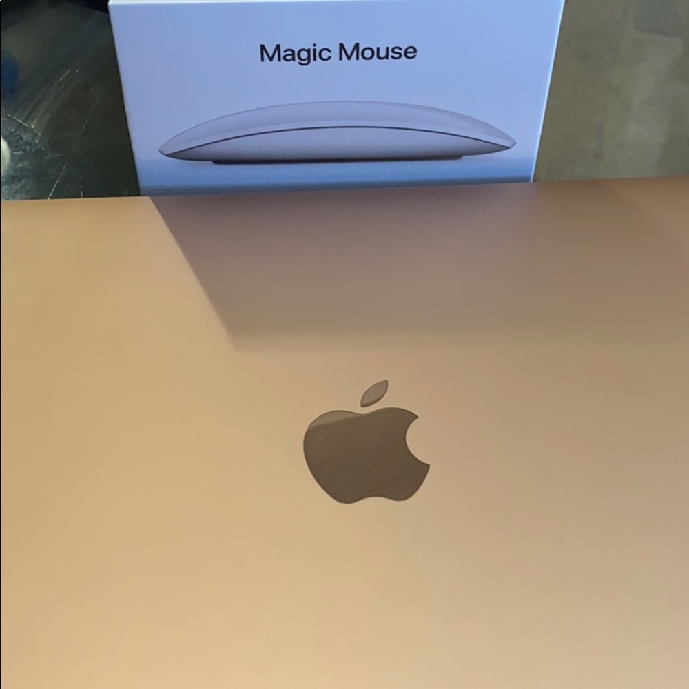 Apple mouse 2 (silver)